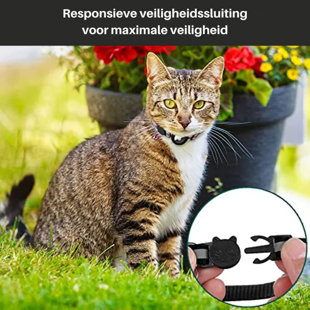 Cat GPS Tracking Collar – Quick-Release, Reflective for Nighttime Safety