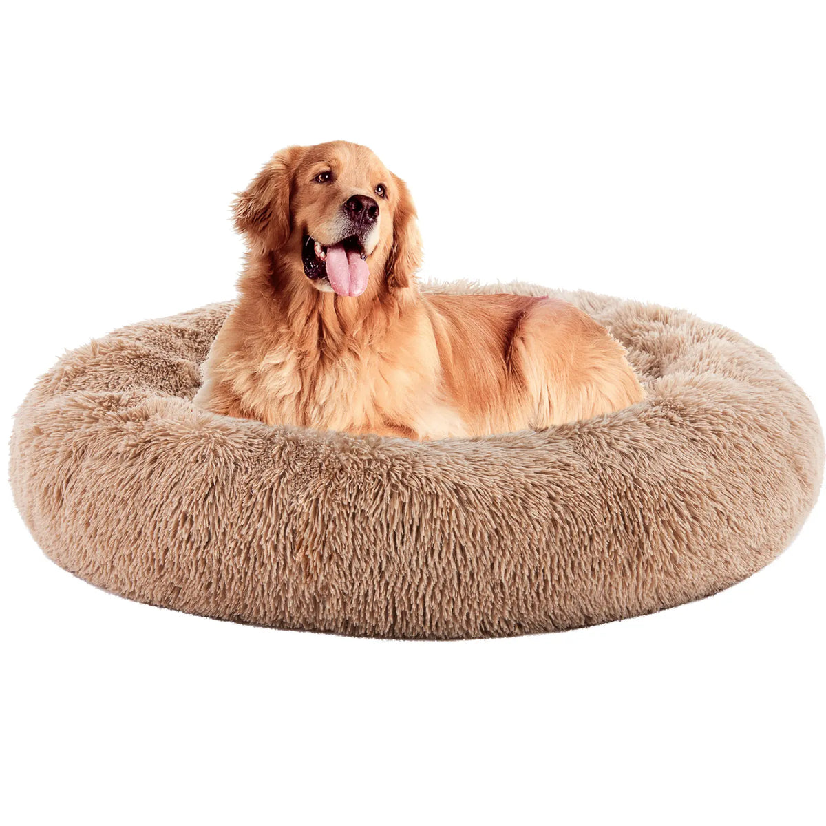 Orthopedic Memory Foam Dog Bed for Large Breeds - Cushioning, Firm Joint Relief Support, Washable