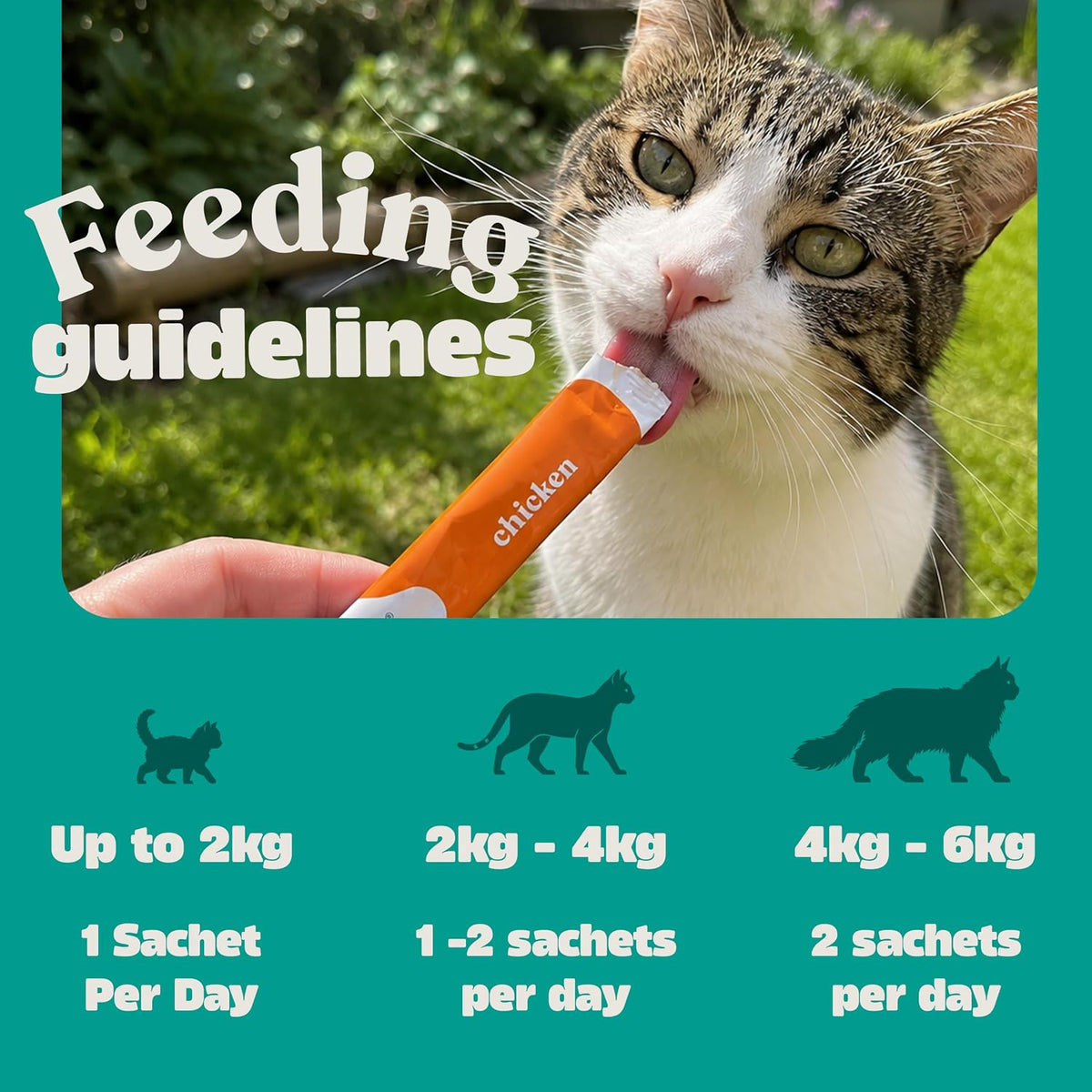 Lick-E-Lix Cat Treats Variety Value Pack - Kitten Friendly, Grain Free, No Artificial Preservatives or Colours (50 Pack)