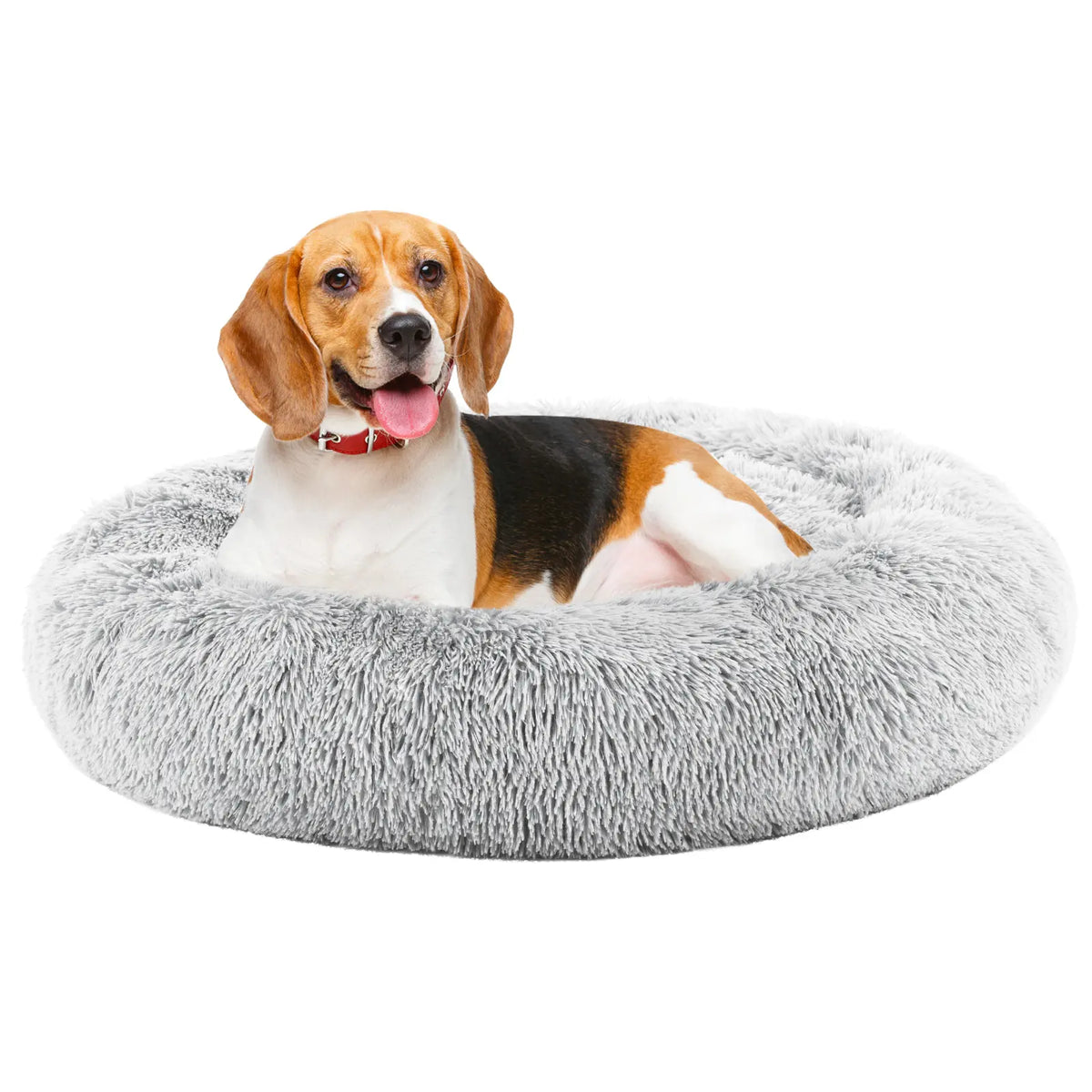 Orthopedic Memory Foam Dog Bed for Large Breeds - Cushioning, Firm Joint Relief Support, Washable